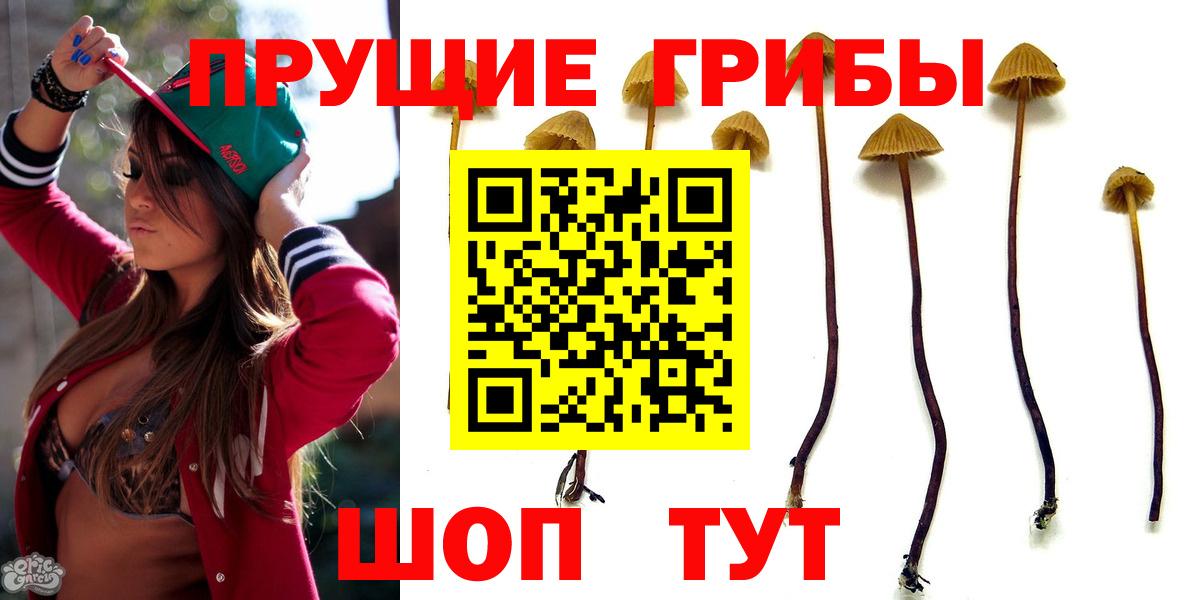 Галлюциногенные грибы прущие грибы  Вход с VPN  Сердобск 